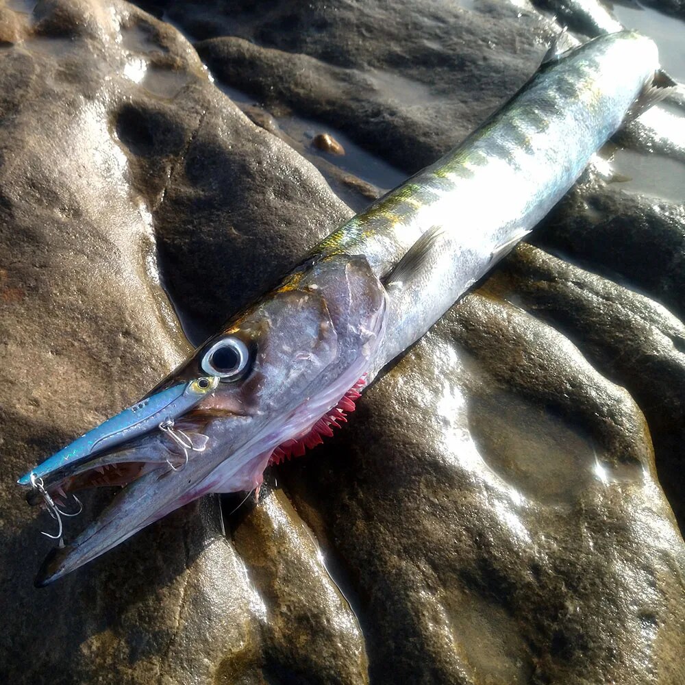 GOBAIT VIB Fishing Lure 20g 25 - Fishing Lure Blade Bait review and price