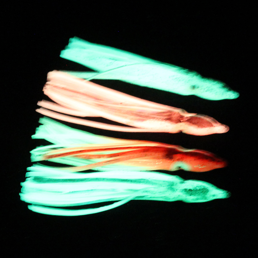 10 Pcs Soft Light Octopus Squi - Fishing Lure Buzzbait review and price